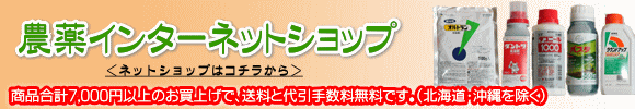 �L�c�엿�C���^�[�l�b�gSHOP�����