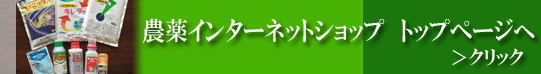 �_��C���^�[�l�b�g�V���b�v�g�b�v�y�[�W��